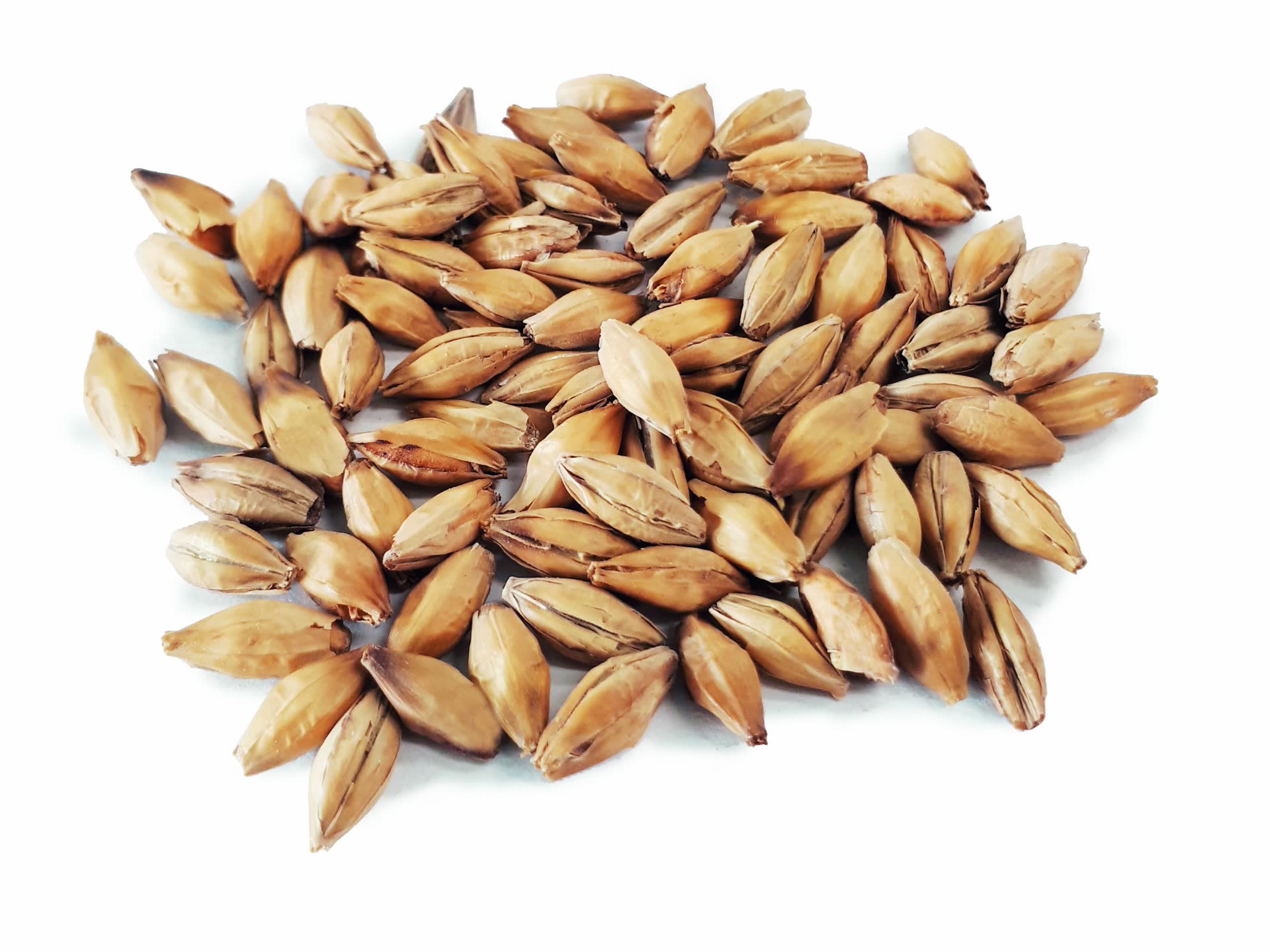 MEDIUM PEATED MALT